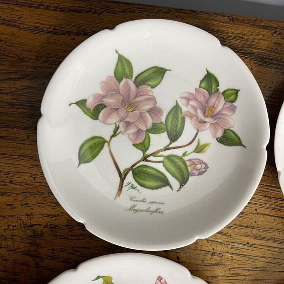Rochard Limoges France‎ Dessert Bread Plates Cheese Wine 5.25” Flowers Signed - Picture 10 of 13